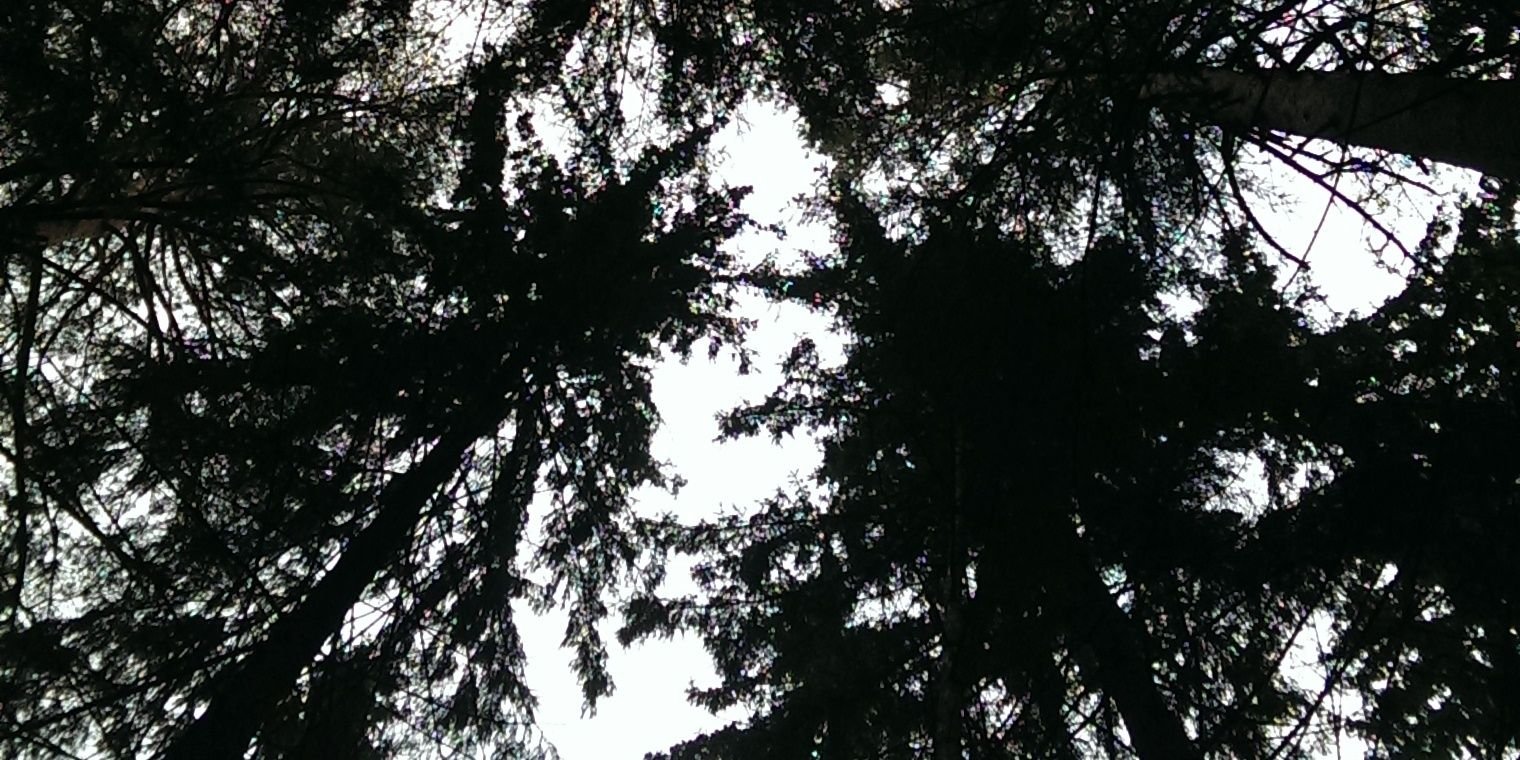 Paullllaaaa's profile banner image
