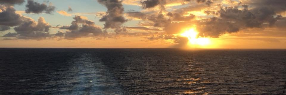 dkfan81's profile banner image