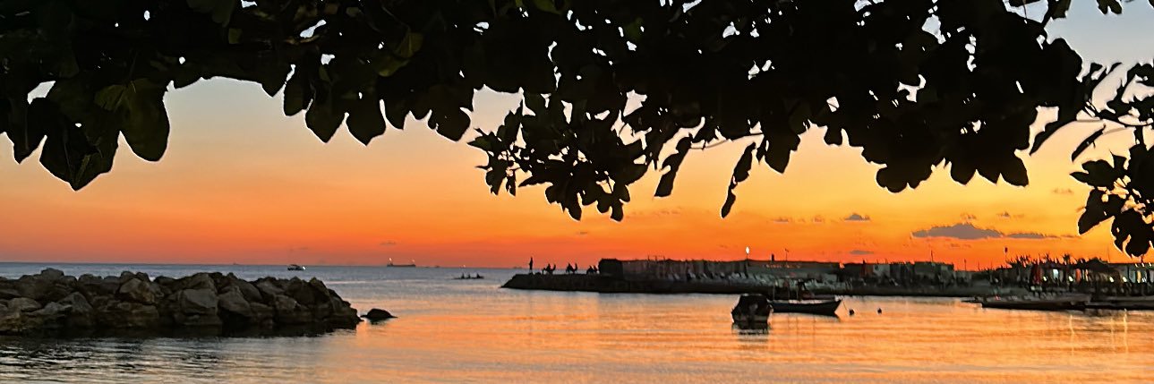 bernaa_s's profile banner image