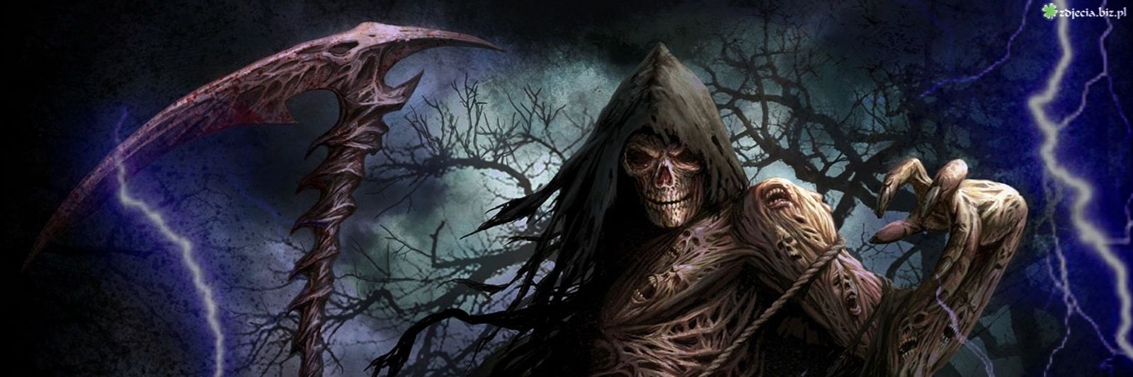tomawojtowicz's profile banner image
