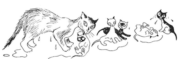 ansku banner