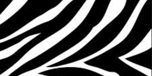 ANOUK95XO's profile banner image