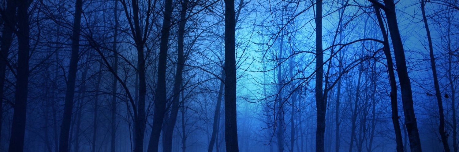 ᴍᴀʀᴄus ᴇʟᴠɪɴɢ banner