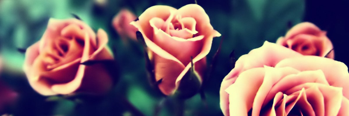 2GaysFromBusan's profile banner image