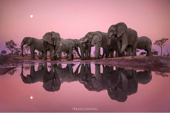 Ms_Njeru's profile banner image