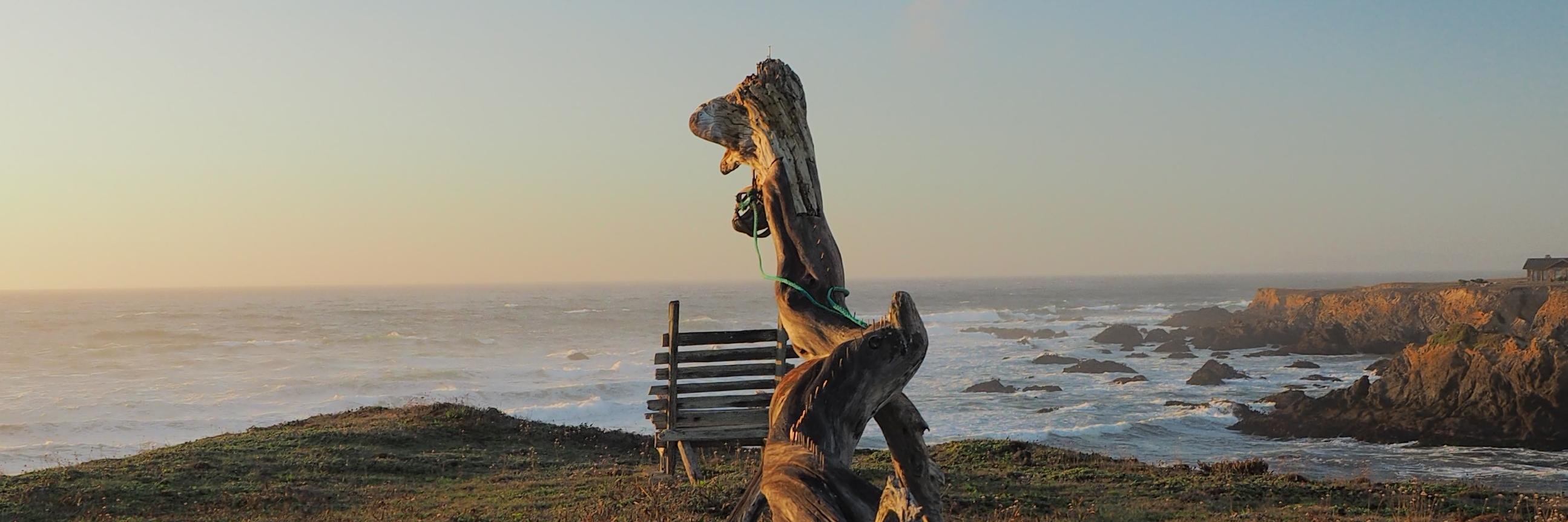 Forrest Litke banner