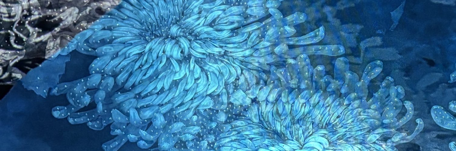 assilmel's profile banner image
