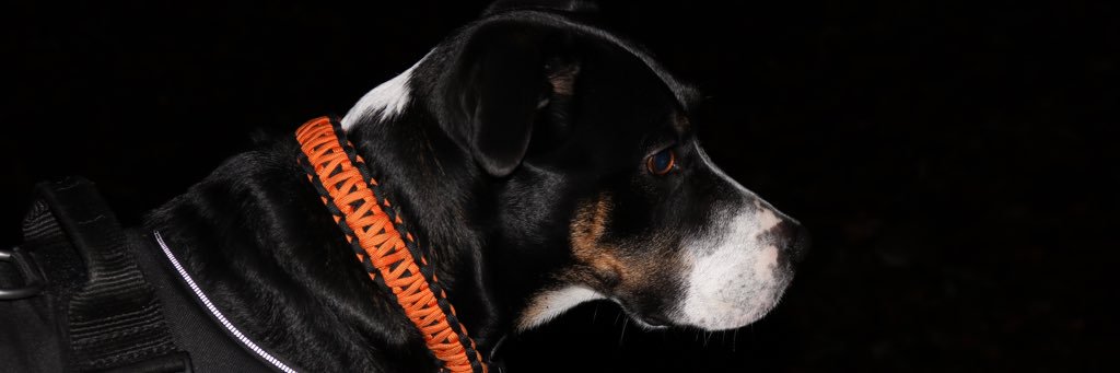 anna_ramsay's profile banner image