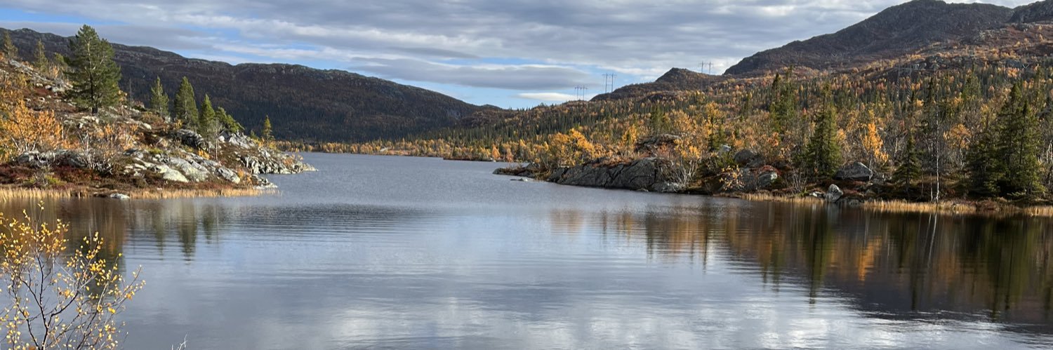 Riksantikvarild banner