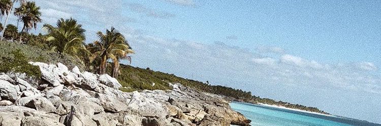 crispurodriguez's profile banner image