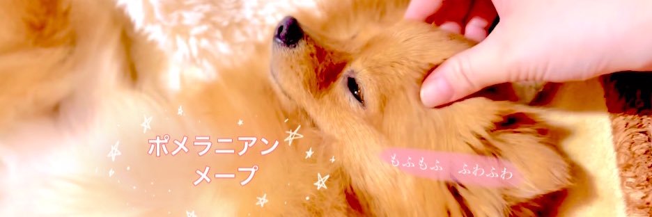 pomenomape's profile banner image