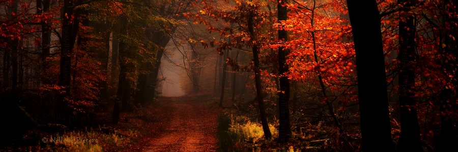 gerards_smile's profile banner image