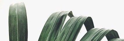 CrisBarral13's profile banner image