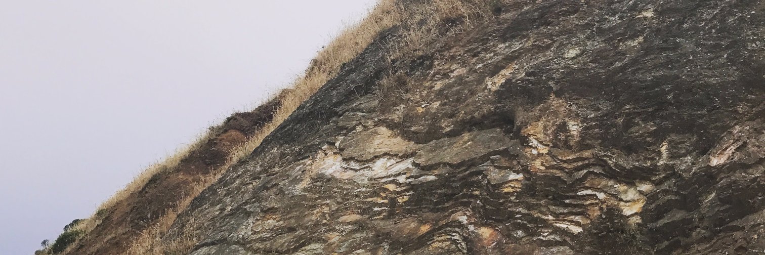 David Allin Reese banner