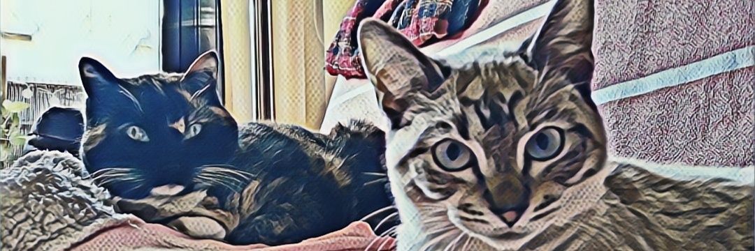 LucentumTroll's profile banner image