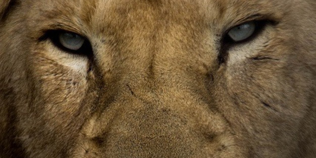 TaylorDeanLuckeroth banner