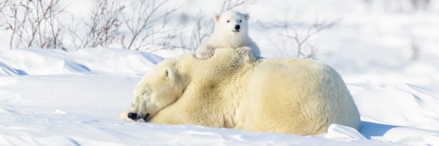 National Wildlife Federation banner