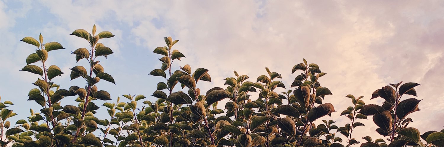 JessiEdwards77's profile banner image