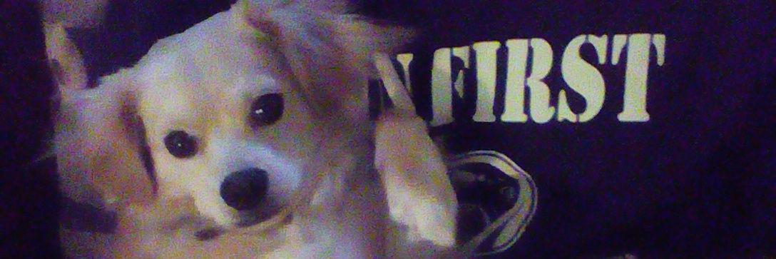 Heather Tatur banner