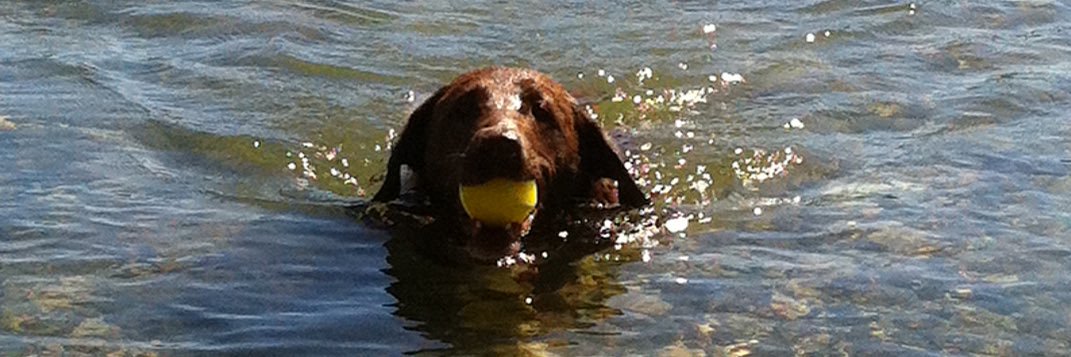 Add your name banner