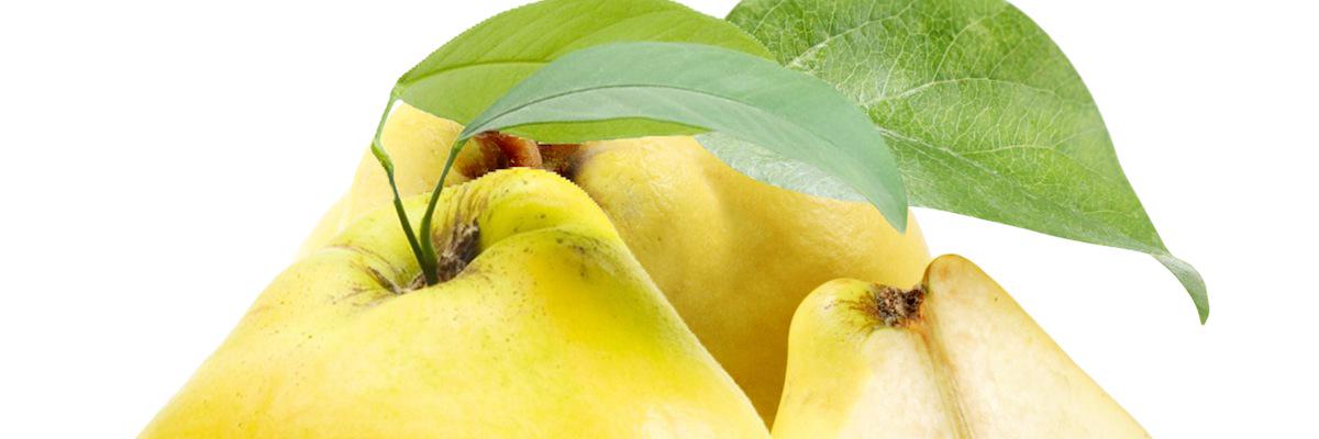 InfoTAKtea's profile banner image