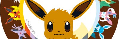 zerotanuki's profile banner image