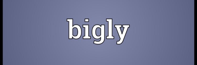 ImTrumpBITCH's profile banner image