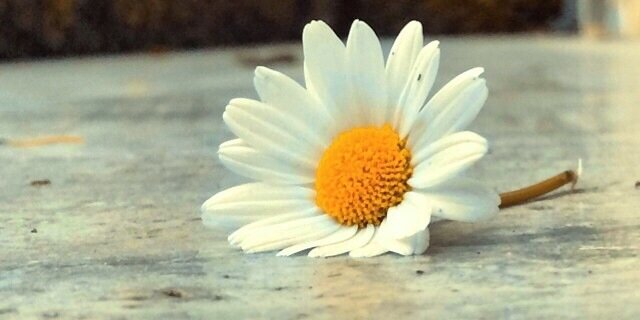 sebnembuse's profile banner image
