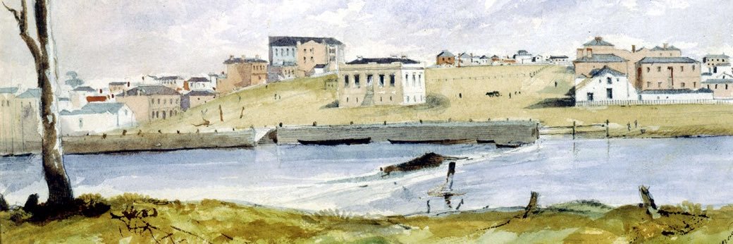 Rohini Kappadath banner