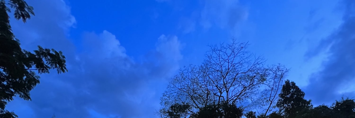 chafavs_'s profile banner image