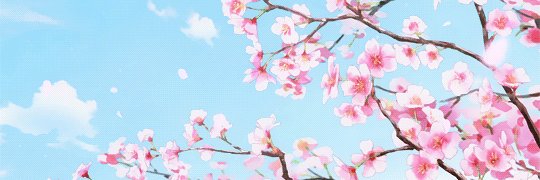lysskathleen's profile banner image