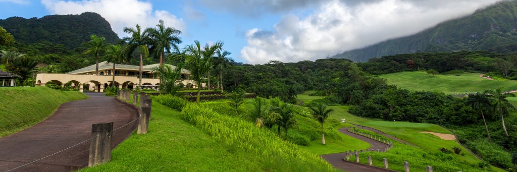 Danielle Tucker banner