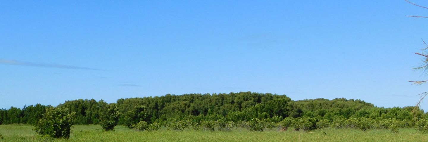 Nirina45's profile banner image