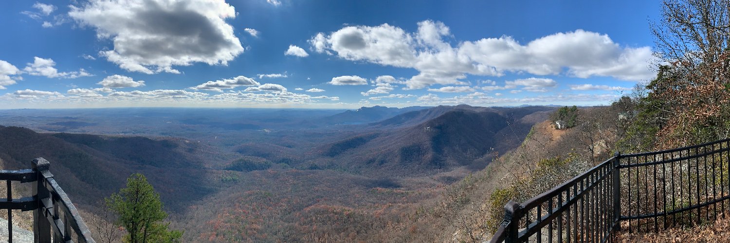 Laura Anne Nelson banner