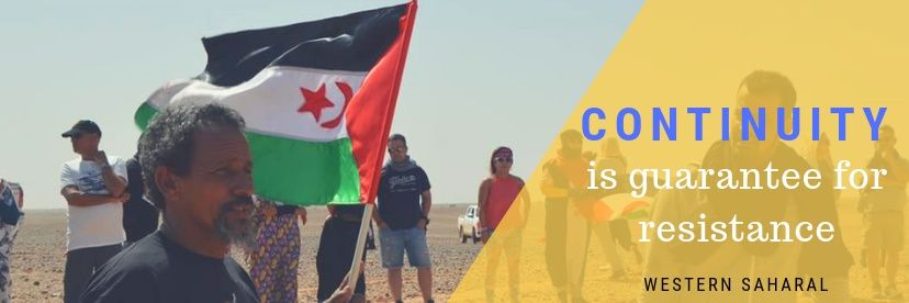 limam_sh's profile banner image