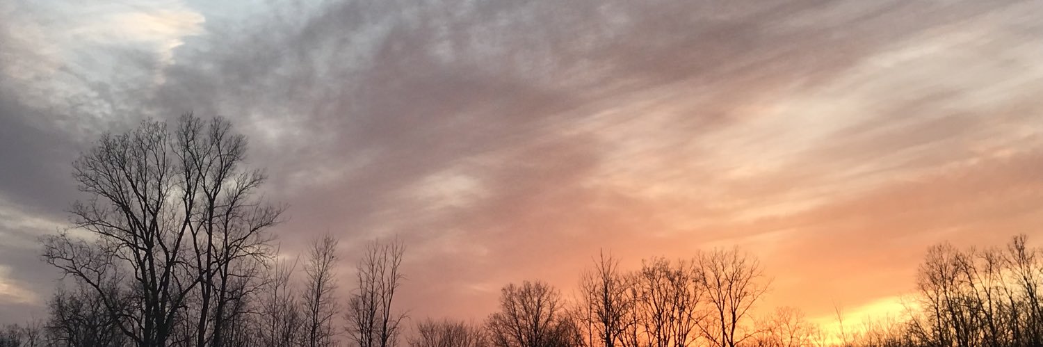 zzzquincy's profile banner image