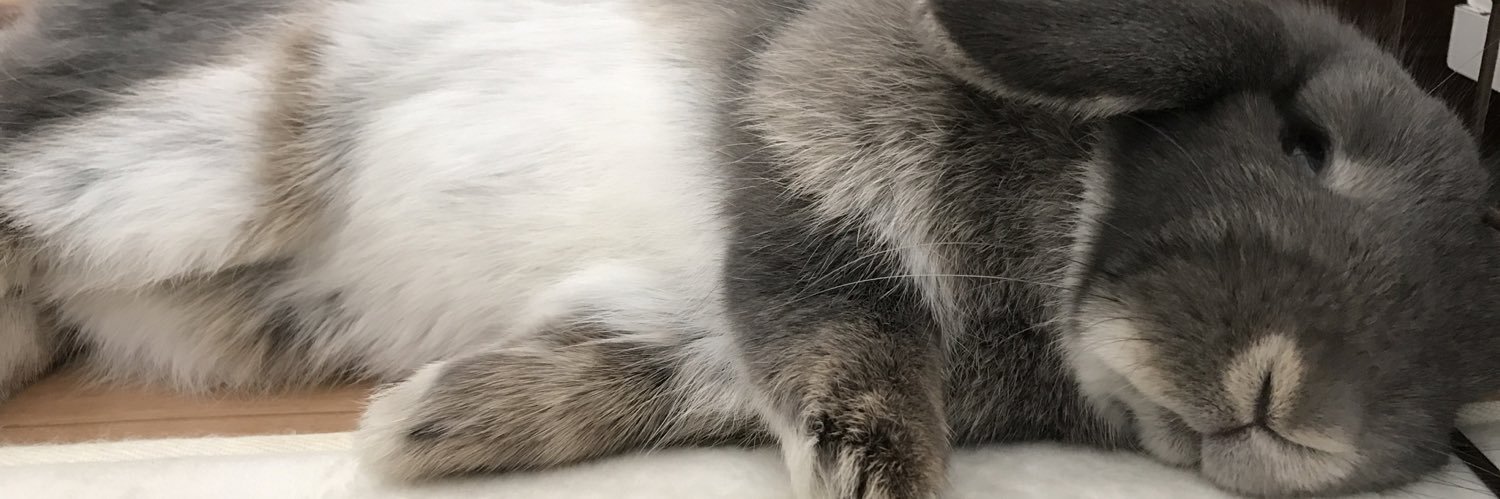 mohu_t05's profile banner image