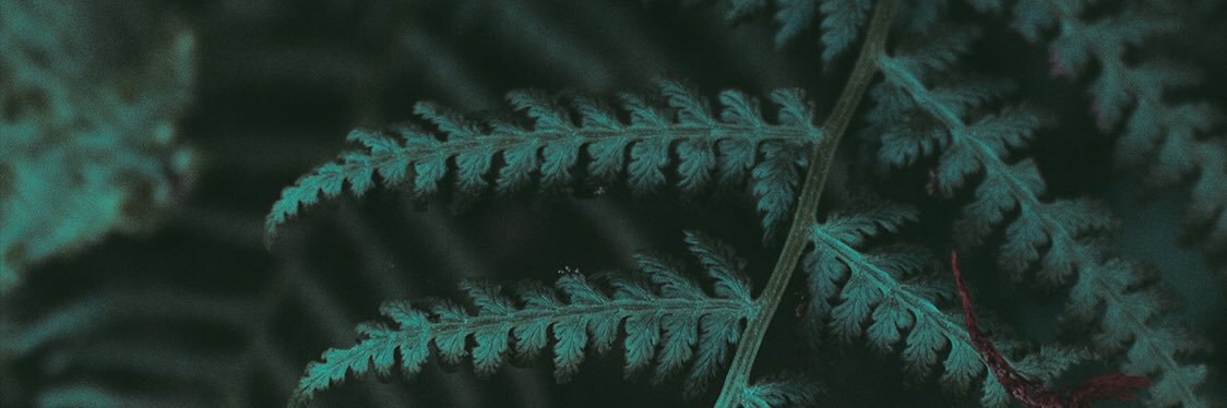 SarahVamp's profile banner image