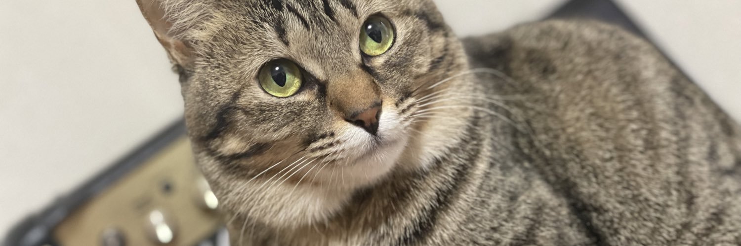 54ROCK / Yusuke Koshiro banner