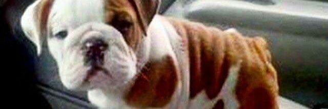 brayanbaquera's profile banner image
