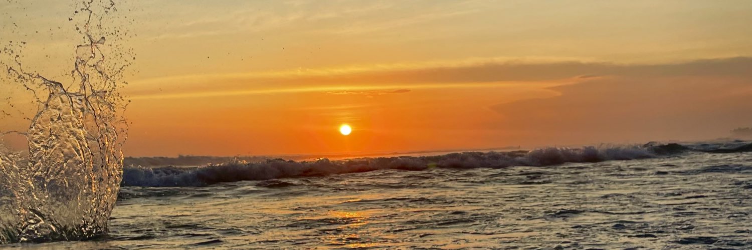 Anth McCardle banner