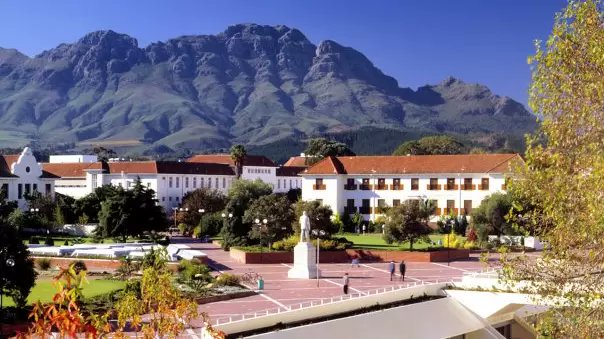 Ingrid Woolard banner