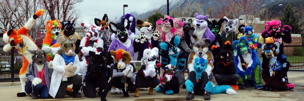 PawsAtPearl's profile banner image
