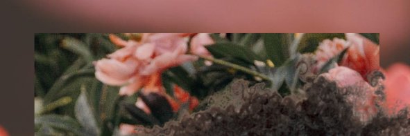 _Desi_Lopez's profile banner image