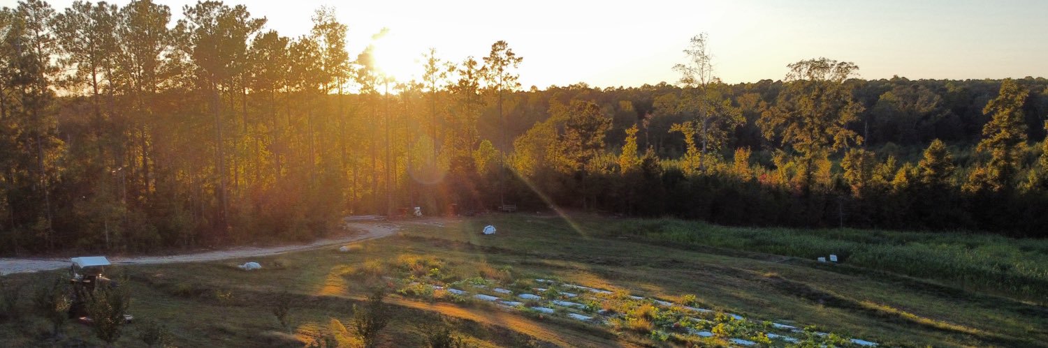 alfoshee's profile banner image