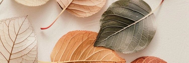 PerlaPdrbm's profile banner image
