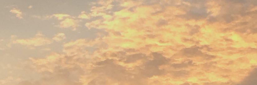 iceybvbby's profile banner image
