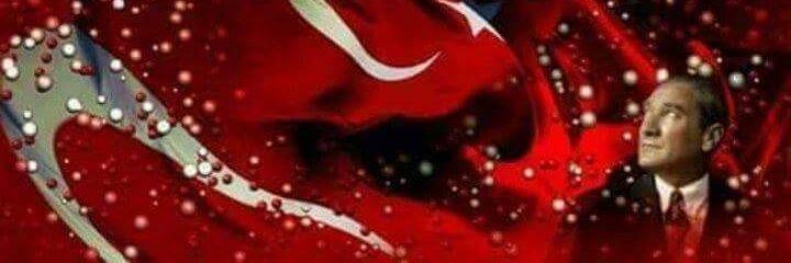 SevgulSevda's profile banner image