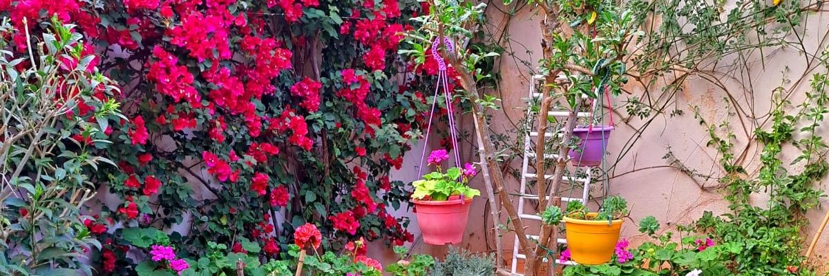 Nikos Kaplaneris banner