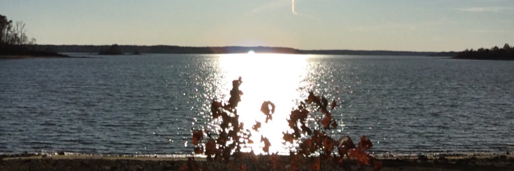 Janet Anderson banner